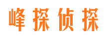 岑巩侦探公司